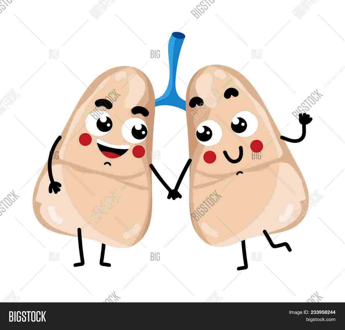 1185x1133 Cartoon Drawing Of High Quality Free Rhclipartxtrascom Human