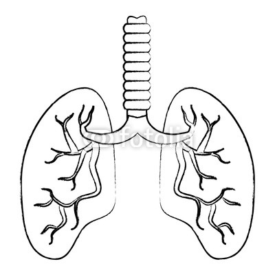 400x400 Human Lungs Icon Over White Background, Vector Illustration Buy