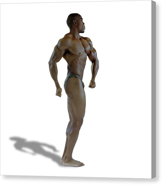 545x622 Male Body Builder Photograph