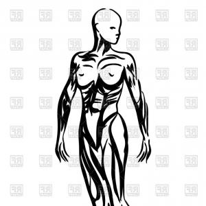 300x300 Outlines Of Human Body Woman Anatomy Vector Clipart Soidergi
