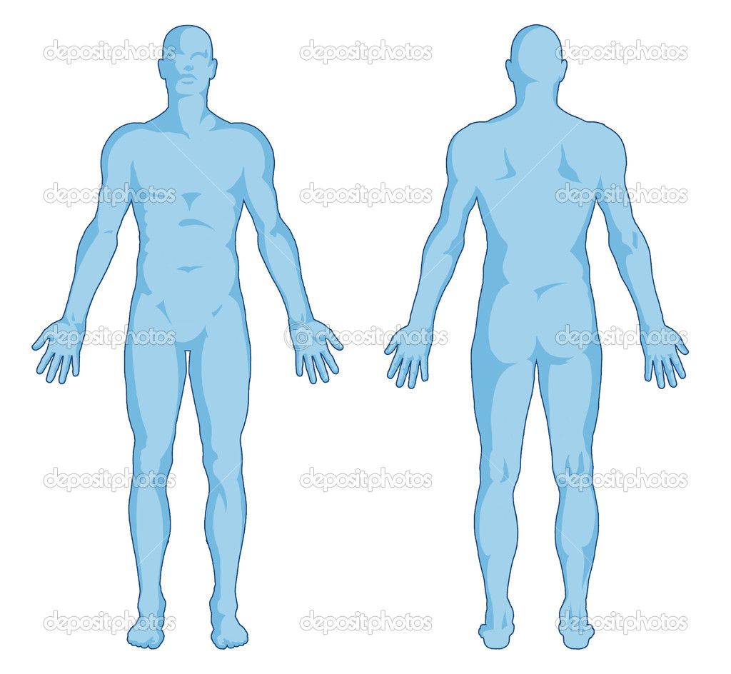 1024x944 Human Body Outline