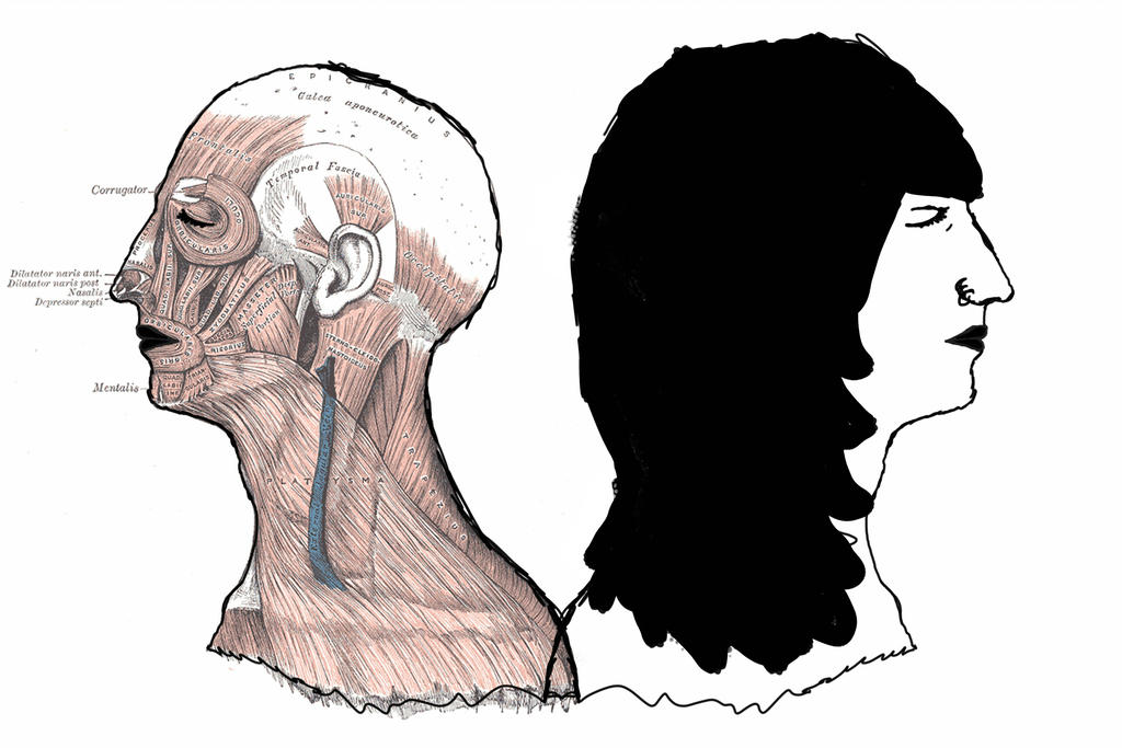 1024x683 Human Anatomy