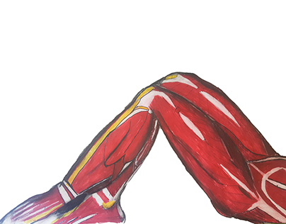 404x316 Human Muscles On Behance