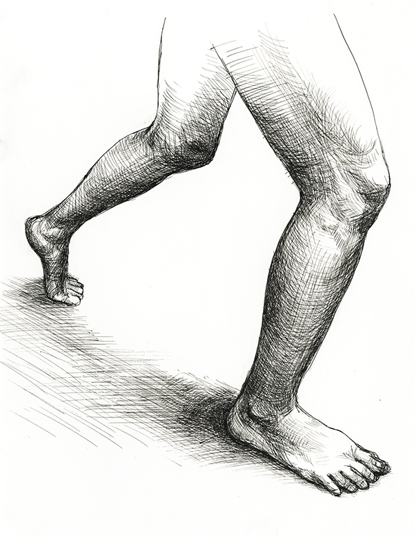 600x776 Artistic Anatomy On Risd Portfolios