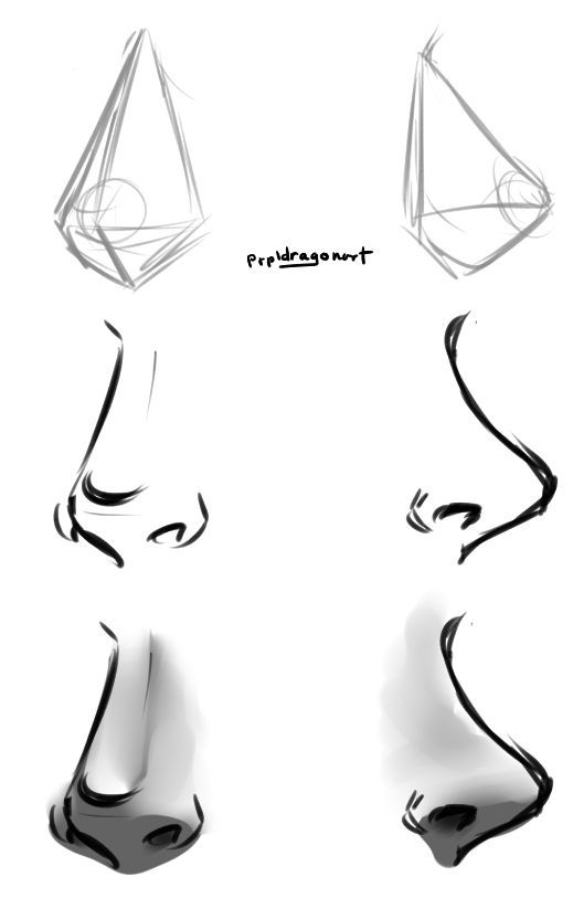 519x813 Nose Drawing Tutorial