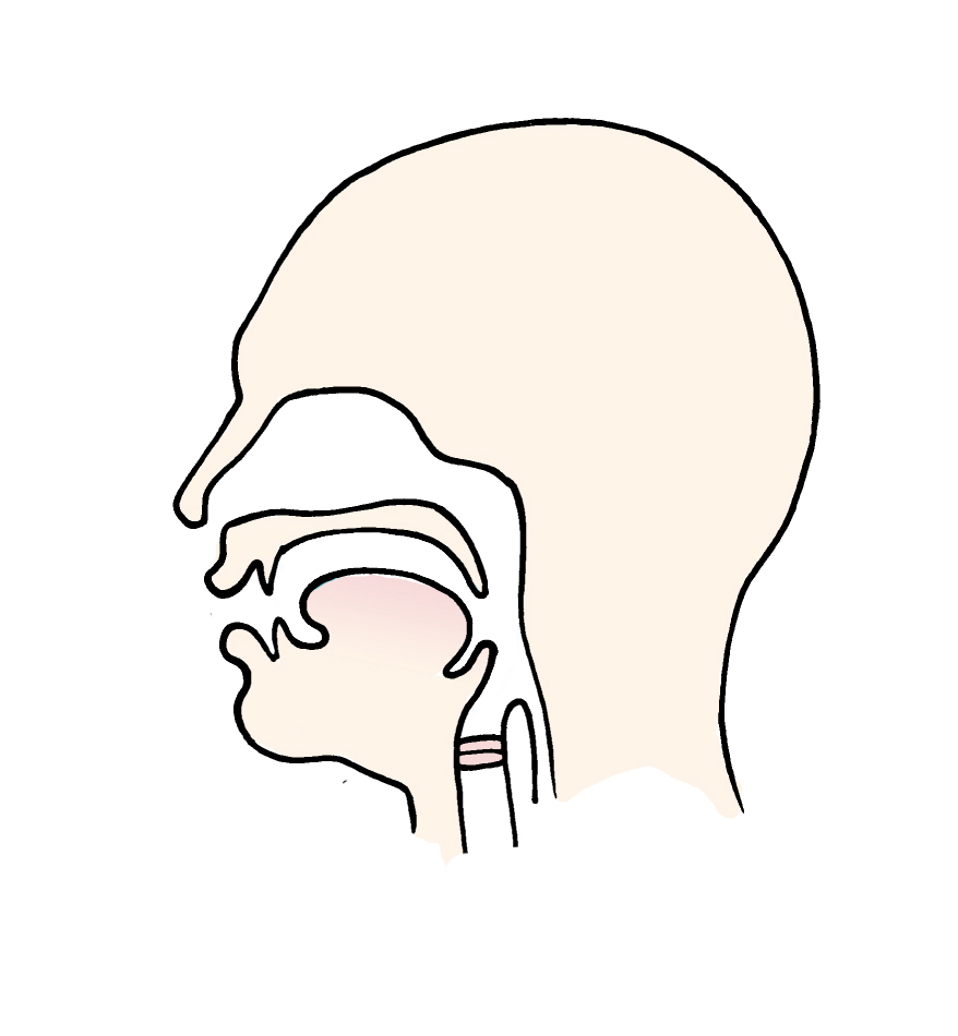 878x950 Your Incredible Nose