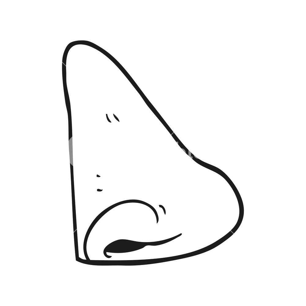 1000x1000 Freehand Drawn Black And White Cartoon Human Nose Royalty Free