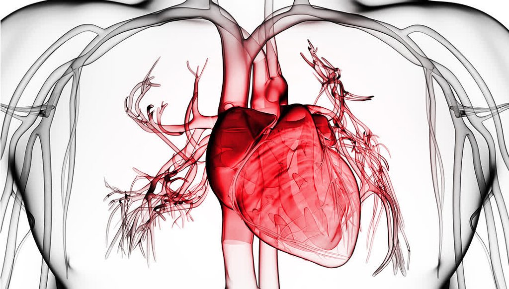 1024x582 Tamu Health Sciences On Twitter