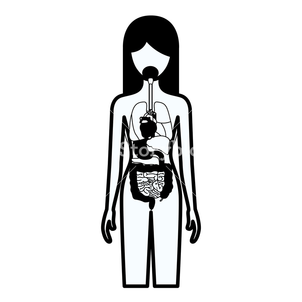 1000x1000 Black Silhouette Thick Contour Of Female Person With Internal