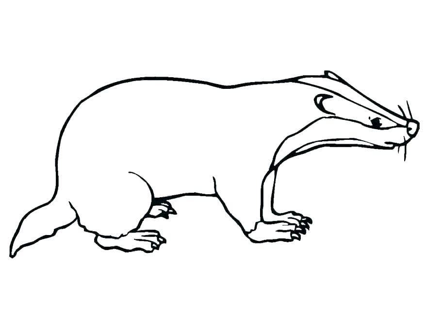 878x659 Human Coloring