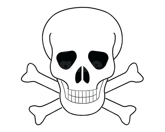 570x456 Skull Outline Human Skull Outline Illustration