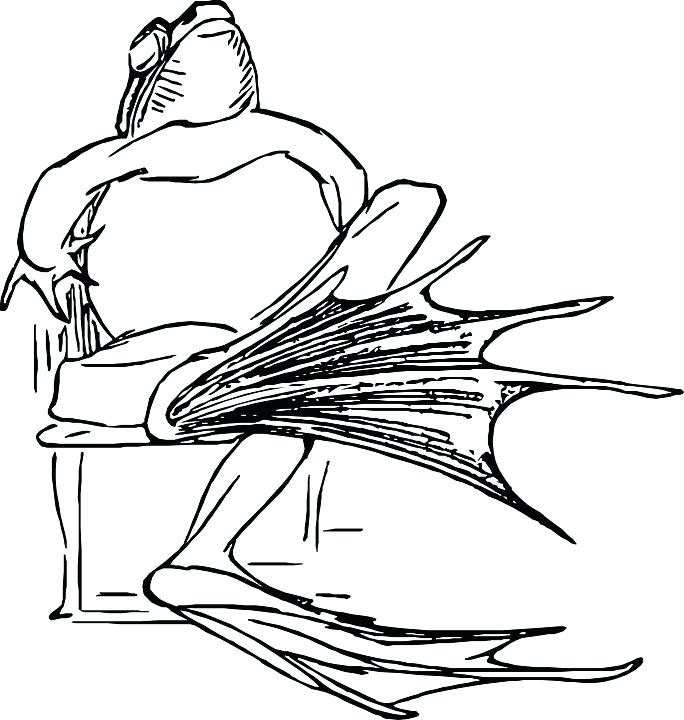 684x720 toad sketch share toad sketch drawing