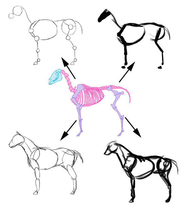 600x667 How To Draw Animals The Importance Of Drawing A Pose