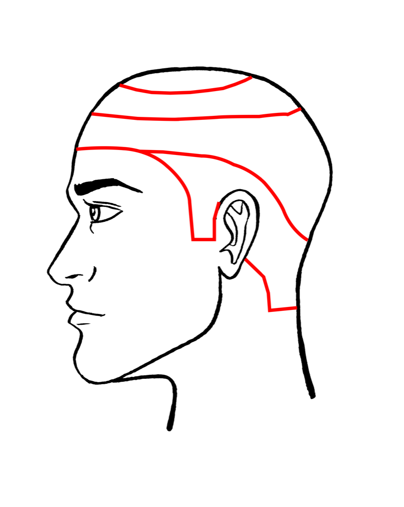 Схема головы. Схема стрижки фейд. Стрижка фейд мужская схема. Фейд полубокс схема. Схема головы для стрижки фейд.