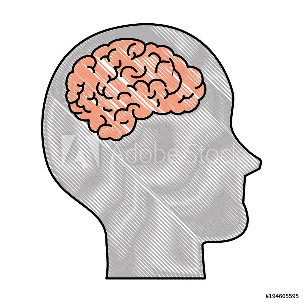 1000x1000 Photo Art Print Human Profile With Brain Vector Illustration