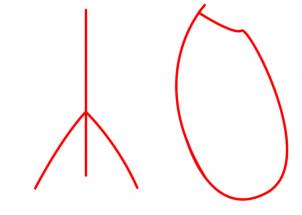 302x215 How To Draw A Rib Cage, Step