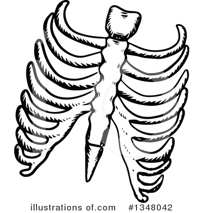 400x420 Ribs Clipart