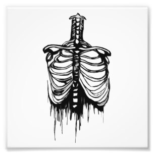 307x307 Skeleton Rib Cage Art Wall Zazzle