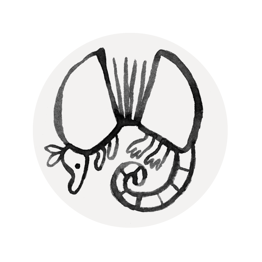 1000x1000 Collection Of Free Texas Drawing Logo Download On Ui Ex