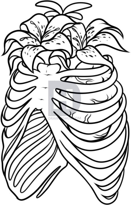 459x720 How To Draw A Rib Cage Tattoo, Step
