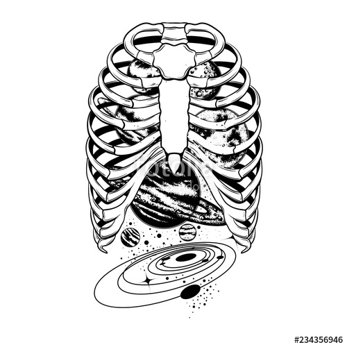 500x500 Vector Hand Drawn Illustration Of Human Ribs With Planets Isolated