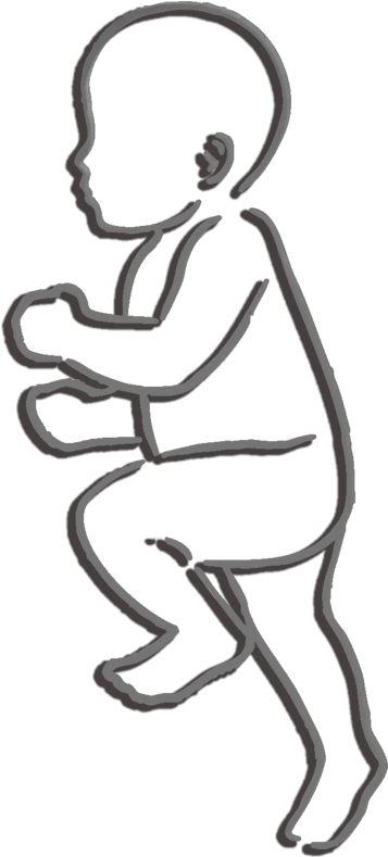 357x789 Download Png Black And White Stock Shadow Birth