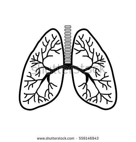 450x470 Human Silhouette Sketch