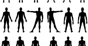 367x195 Human Vector Silhouette Archives
