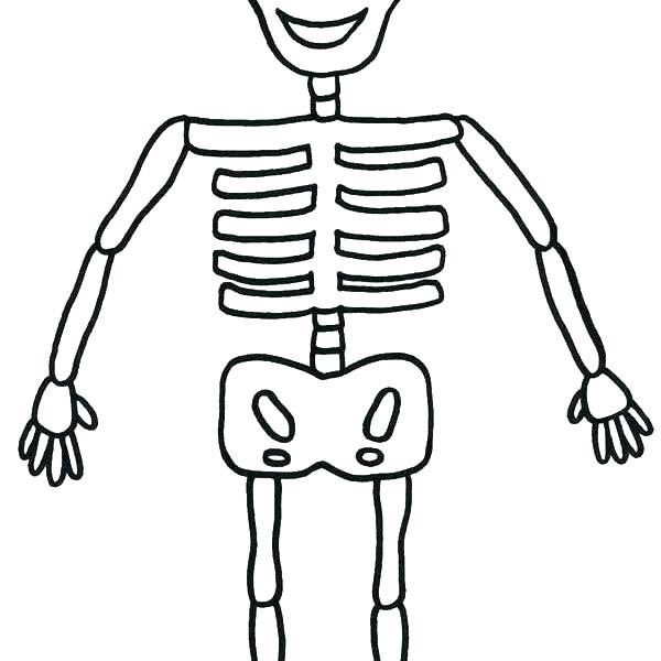 600x600 Human Bone Coloring Pages Human Skeleton Coloring
