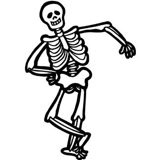 325x325 Skeletal System Of The Horse Skeleton Drawing Bone