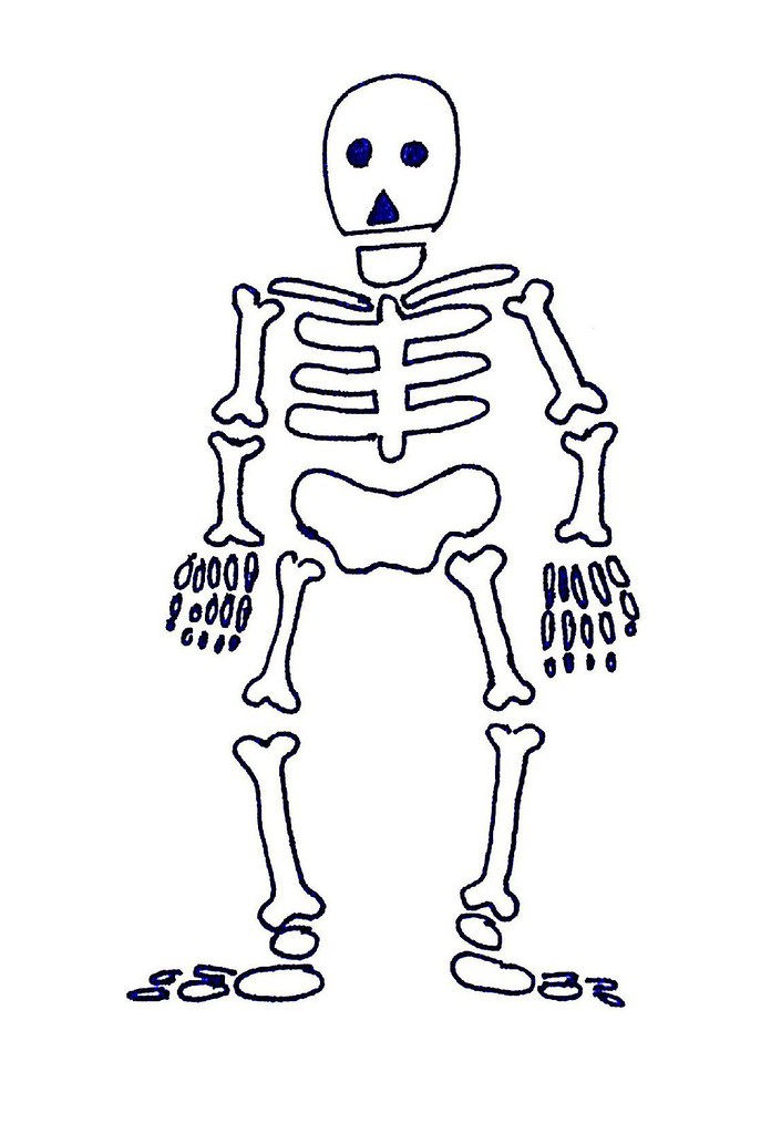 696x1024 Skeleton A Drawing Of A Skeleton I Use This When I Want