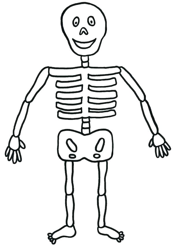 600x851 Skeleton Coloring Sheet Skeleton Drawing At Com Free For Personal