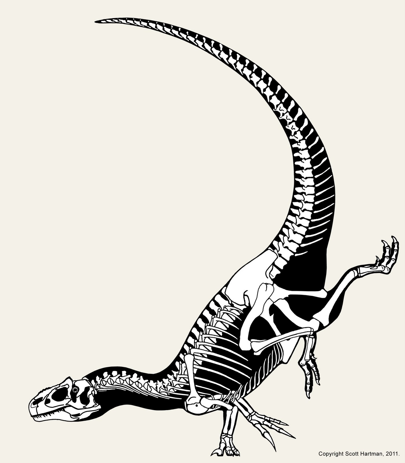 1399x1600 Skeleton Drawing Free Download