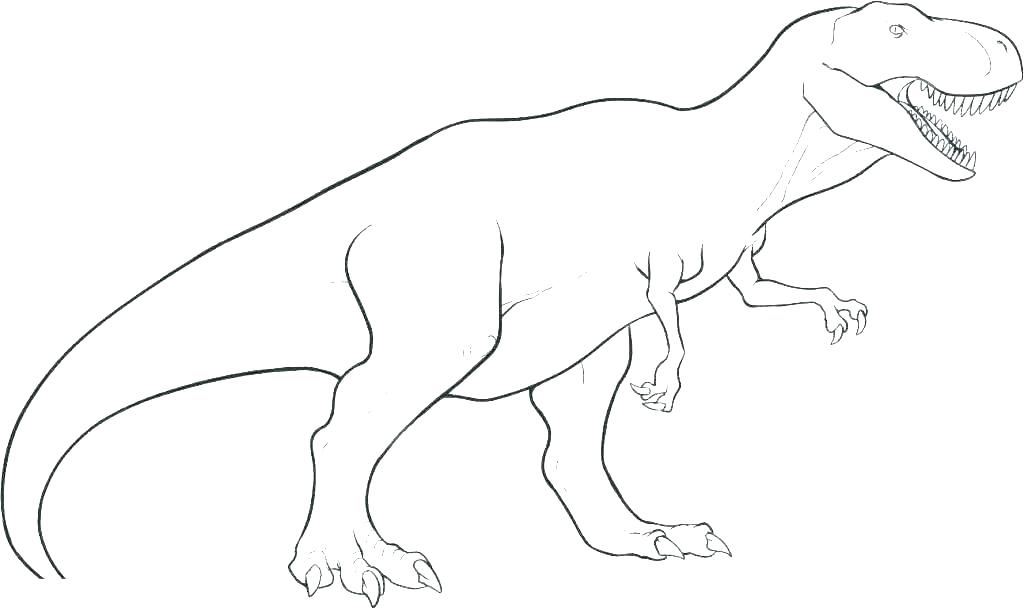 1024x609 Dinosaur Bones Coloring Pages Skeleton Human Book Colouring