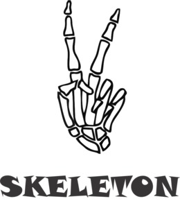 260x300 Download Human Skeleton Drawing Anatomy Skull