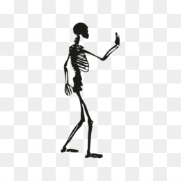 260x260 Human Skeleton Png