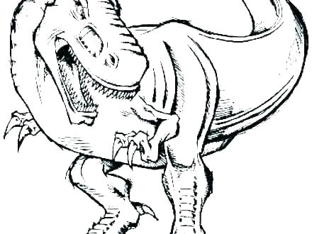 440x330 Skeleton Colouring Human Skeleton Coloring Pages To Print