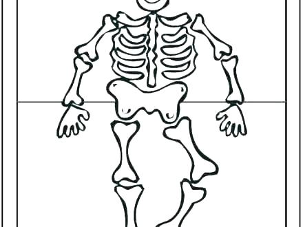 440x330 Skeleton Coloring Sheet
