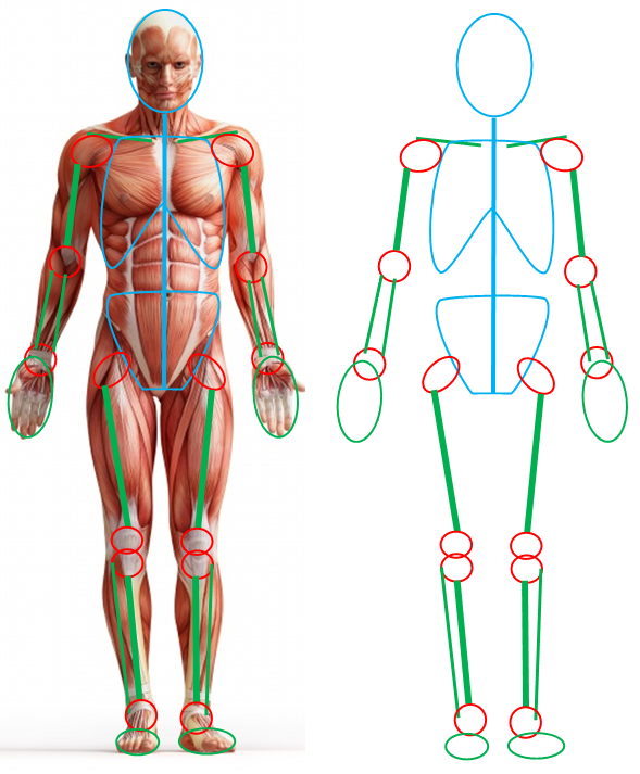 589x713 the unknown orchard getting back into figure drawing