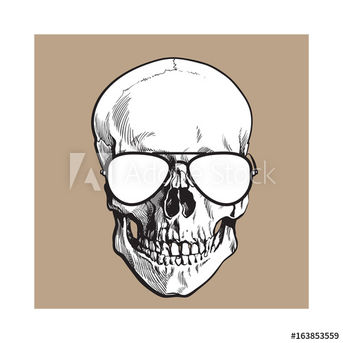 500x500 Hand Drawn Human Skull Wearing Black And White Aviator Sunglasses