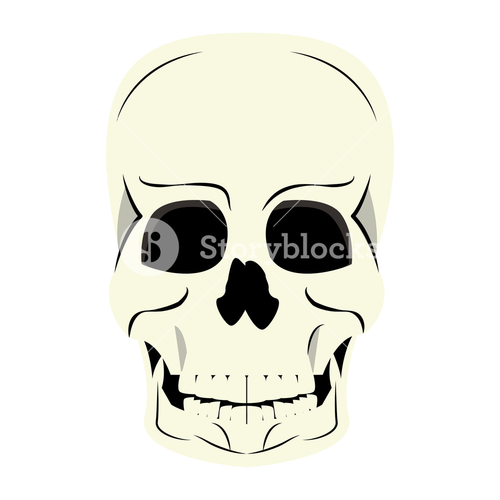 1000x1000 Human Skull Cartoon Vector Illustration Graphic Design Royalty