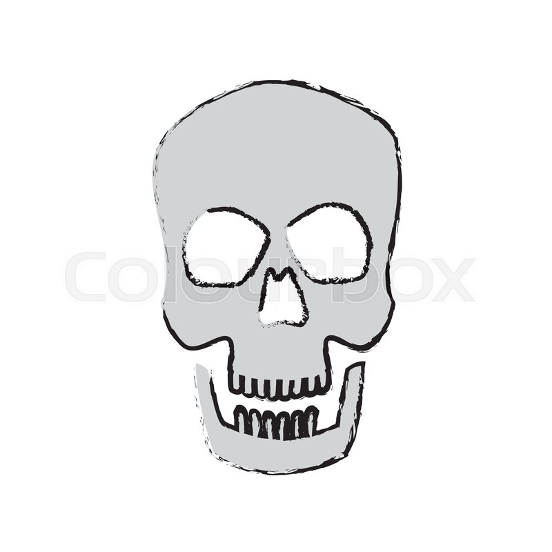 800x800 Human Skull Male Medical Biology Stock Vector Colourbox