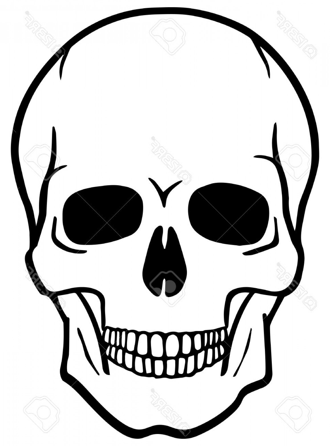 1156x1560 Photostock Vector Black And White Human Skull Vector Illustration