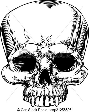 373x470 Skull Drawing A Drawing Of A Human Skull In A Etched Woodcut Style
