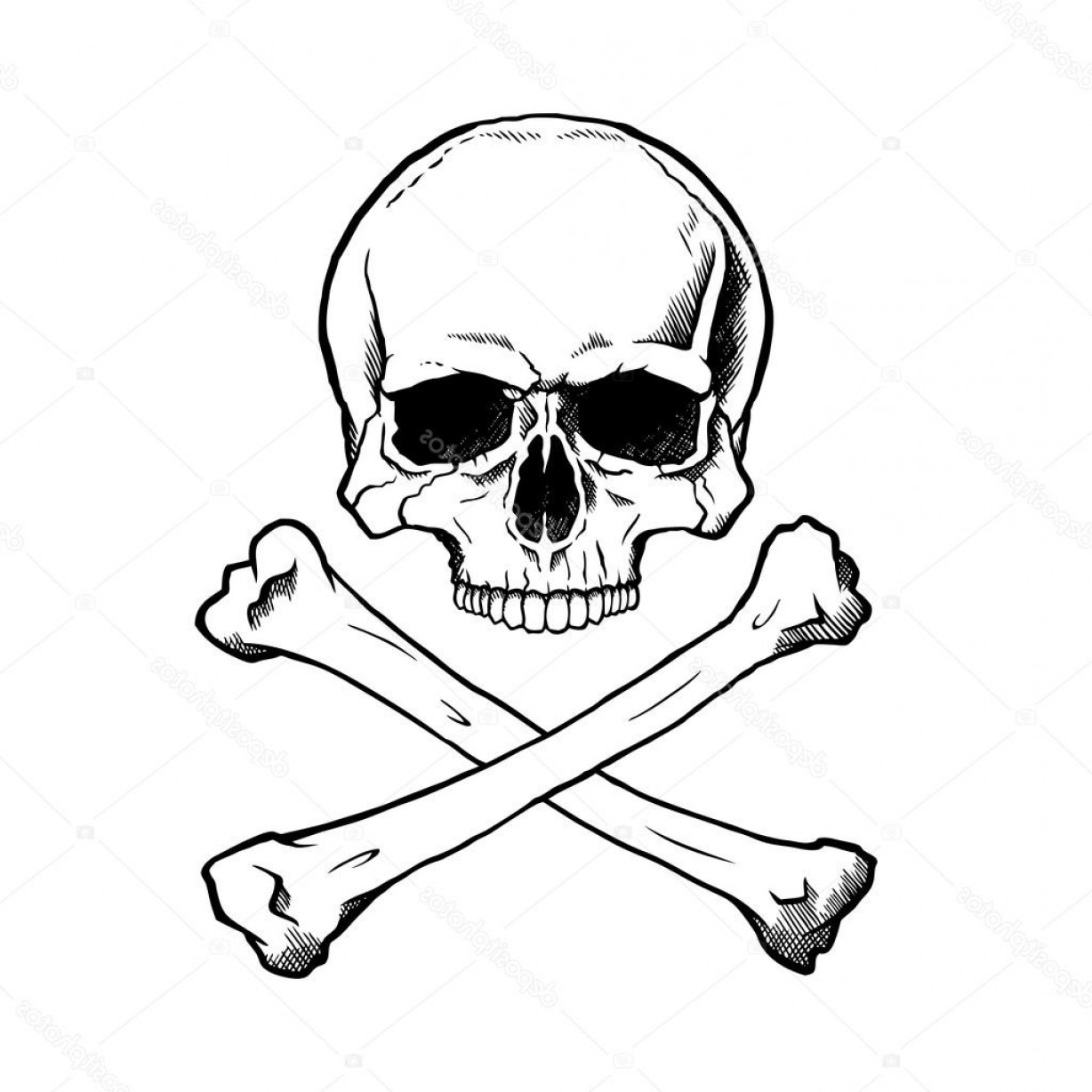 1228x1228 Stock Illustration Black And White Human Skull Soidergi