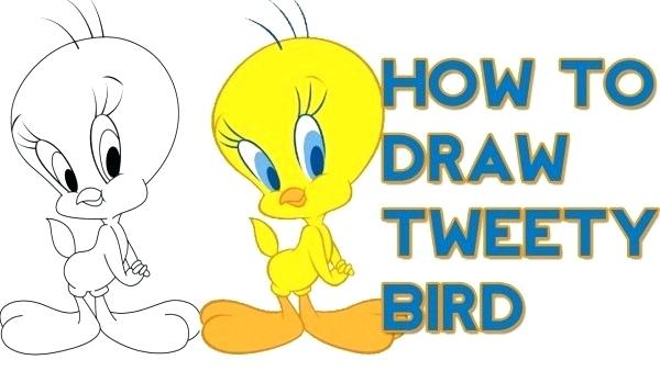 600x338 Drawing Tweety Bird How To Draw Bird Step