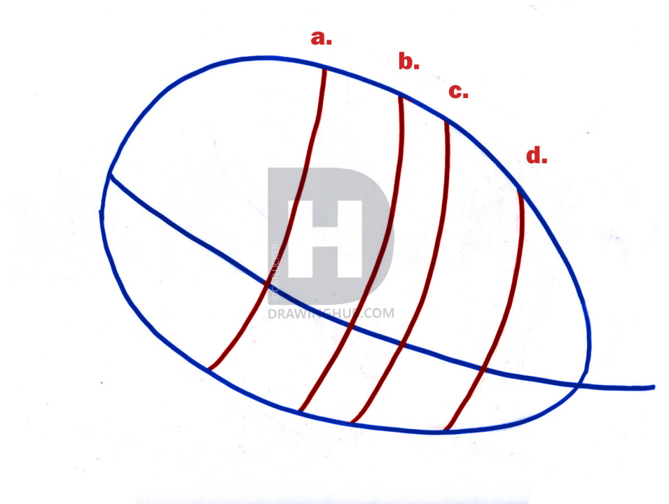 955x720 How To Draw A Realistic Skull, Human Skull, Step