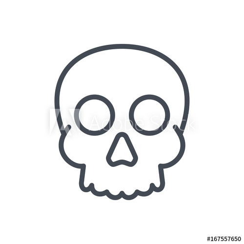 human skull line drawing