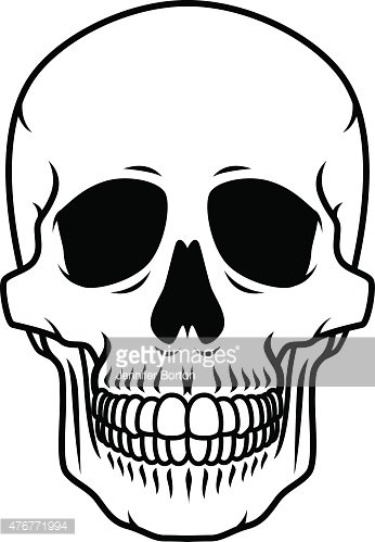346x499 Human Skull Black And White Line Art Icon Premium Clipart