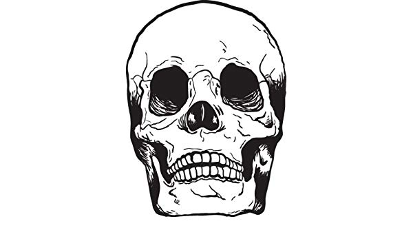 600x350 Vinyl Wall Art Decal Sticker Human Skull Bones Automotive